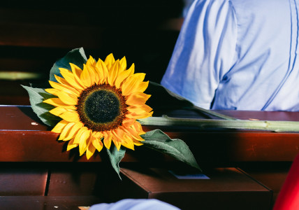 attached image