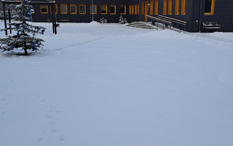 20231204_091235.jpg