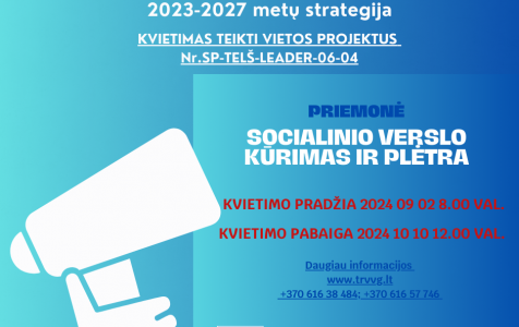 Socialinis verslas.png