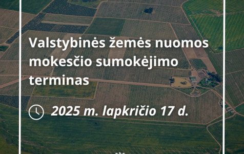 postas.jpg