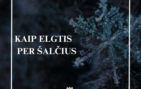 kaip elgtis per šalčius.jpg