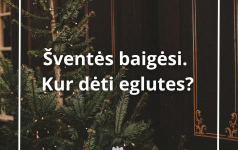 Eglučių išvežimas.jpg