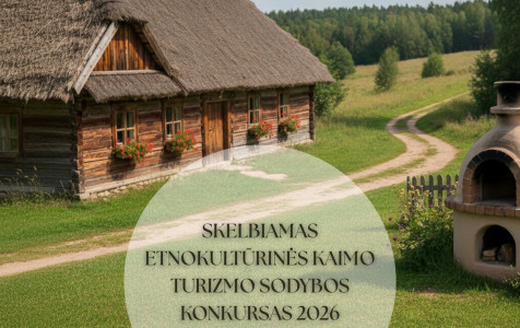 Dizainas be pavadinimo (39).jpg