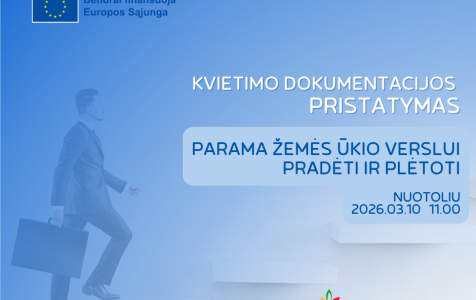 Kvietimo dokumentacijos pristatymas_11kv..png