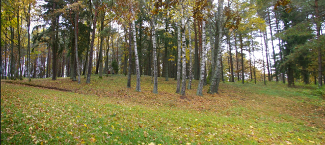 first image