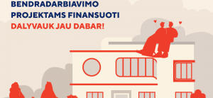NVO tarptautinėms partnerystėms – atviras kvietimas