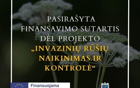FB (10).jpg