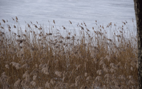 HjLat6P2ib8.JPG__2280x1520_q85_ALIAS-newshudge_crop-smart_subsampling-2_upscale.jpg