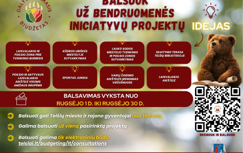 Dalyvaujamasis biudžetas: balsavimas jau prasidėjo!