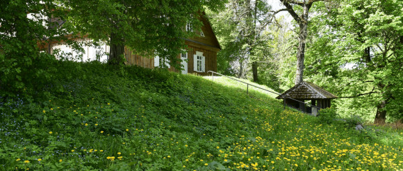Biržuvėnų dvaro sodybos parke atlikti archeologiniai tyrimai